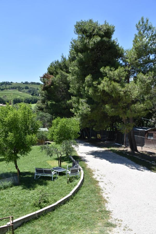 fattoria country village Montecarotto Esterno foto
