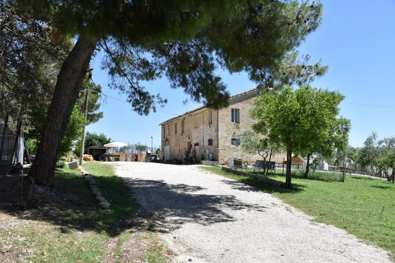 fattoria country village Montecarotto Esterno foto